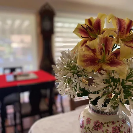 Quinta Da Porta Caseira Séjour à la campagne